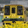 いすみ200型207号