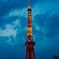 ブルーモーメントの東京タワー