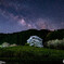 茶畑の一本桜と天の川