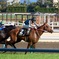 中京競馬第12レース　プリマヴィスタ