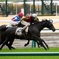 中京競馬第3レース　エレボアブランシュ