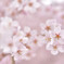 Spring of Life