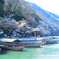 春の嵐山