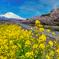 Susono panorama road