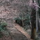 春に向かう階段