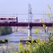 P1190308
