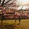 桜とジャンプと笑顔が咲く場所