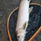 アメマス
