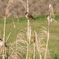 EE240215-AFD2-489B-BFCA-602916FDC5BF