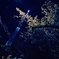 “恋” ✿*❀٭夜の風