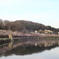 上野公園の桜（広島県　庄原市）