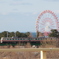 ホームグランド