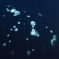 映