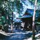 散歩日和の神社にて