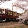 阪急電車と桜