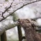 飛び散る雨粒