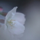 春はここから