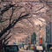 東京都練馬区