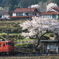 一本桜がある駅