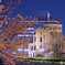 原爆ドーム×桜