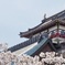 春の清洲城