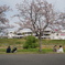 桜の下での女子会