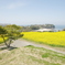 大分県長崎鼻