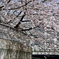 3141E51E-8BDD-437B-8F03-187EAD25381C