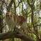 おはよう！ねこさん