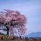 桜と八ヶ岳