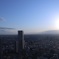 東京