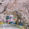 春色電車