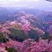 金峯山寺の眺め1