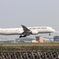 HANEDA