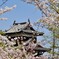 郡山城址