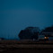 夕暮れの久留里線