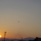 トンボと夕陽