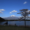 田貫湖　富士山　桜