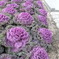 R0010149