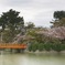 九華公園にて
