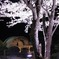 IMG_20210326_204146_030