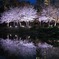 IMG_20210326_204145_987