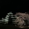 20210404_Matsumoto castle