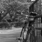 「続・自転車通勤１年記念」 (film)