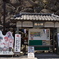 2019春の懐古園にて (4)