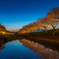 草場川桜並木 夕景 2