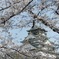 コロナ禍の大阪城