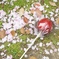 桜の花びらとリンゴ飴