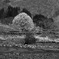 山村の春　_IGP7113zz
