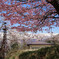火の見櫓が見える風景　IMGP2474zz